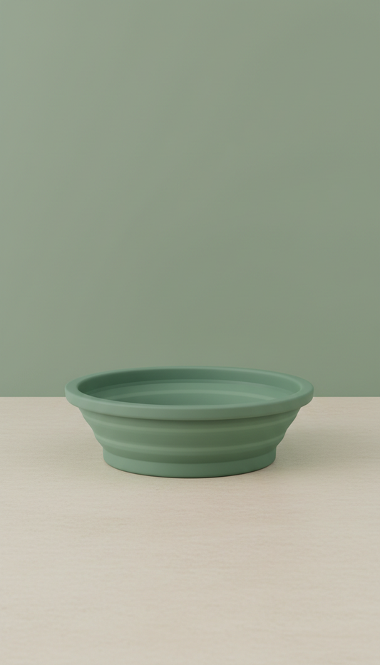 Collapsible Travel Dog Bowl in Sage